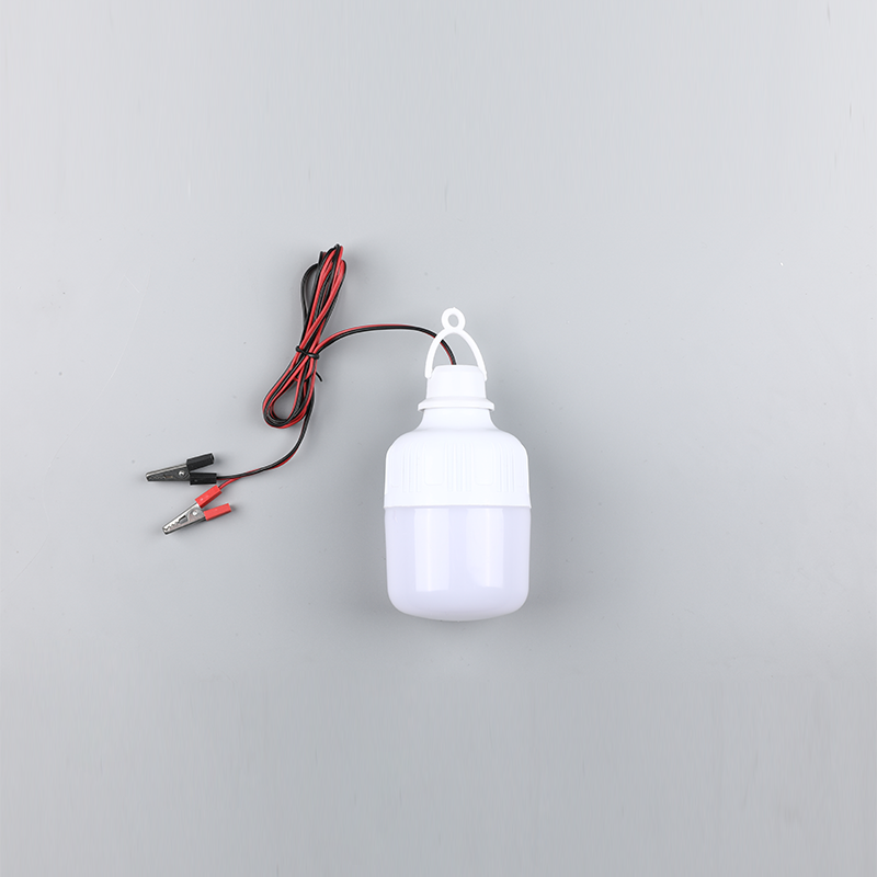 Led lamp-dc12v 24v