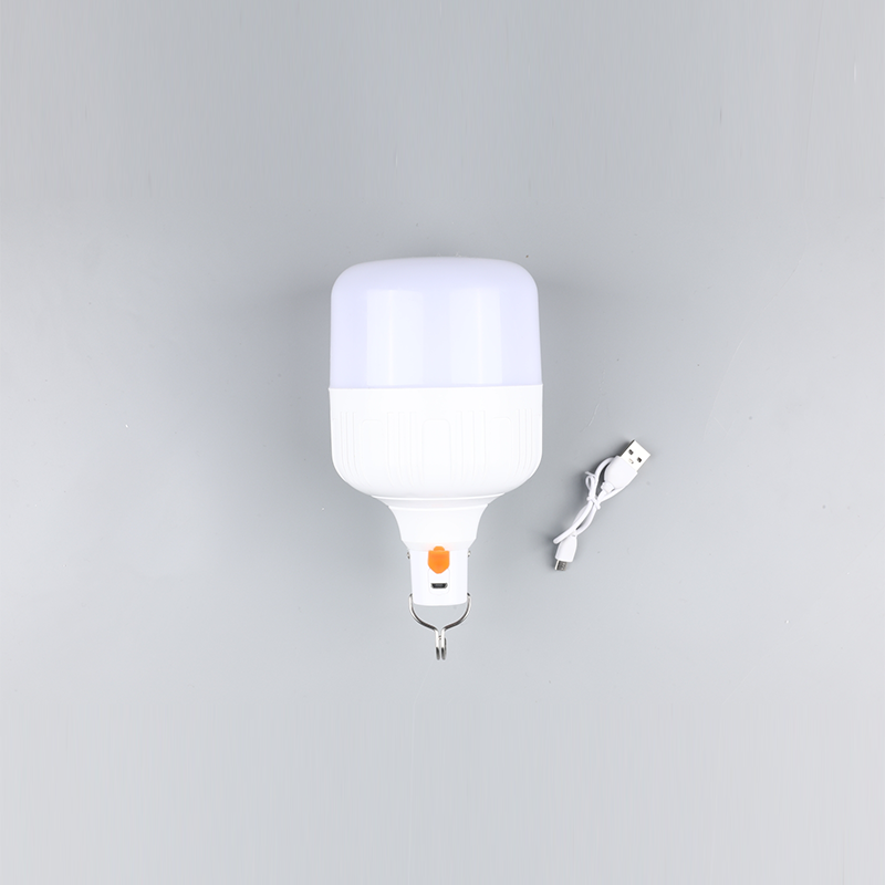 Led lamp-gelijkstroom 12v 24v